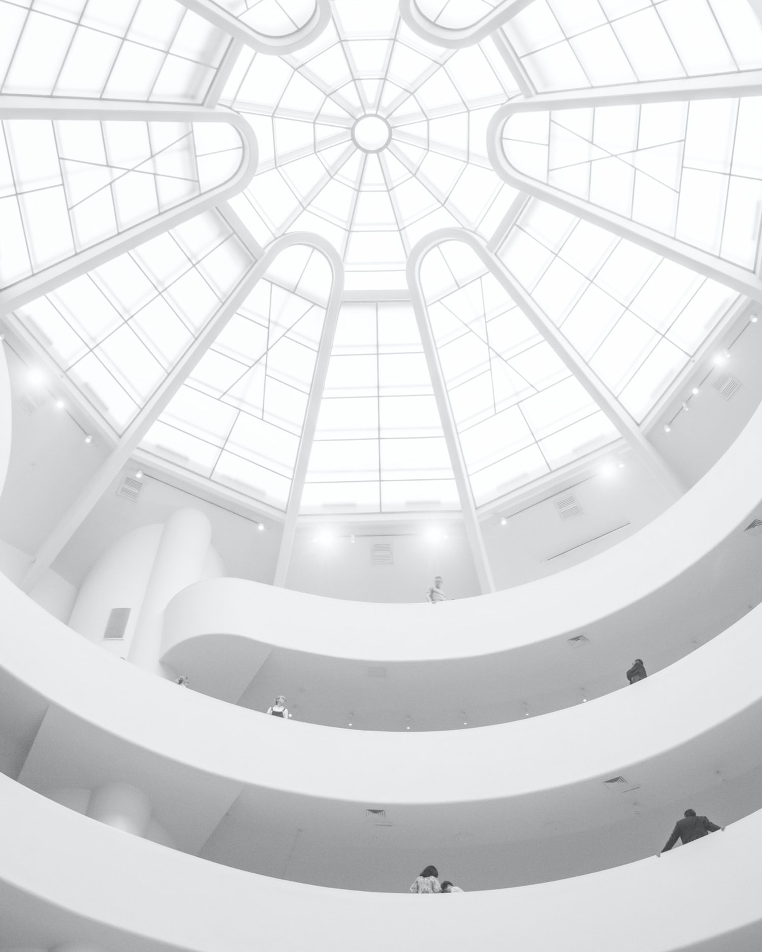 Guggenheim Museum, New York Photo by Drew Patrick Miller on Unsplash